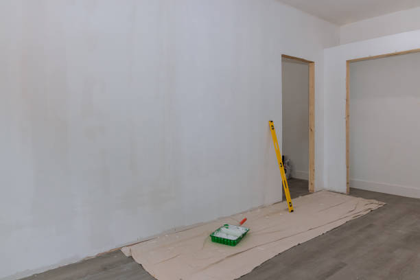 Best Drywall Removal and Disposal  in Pleasant Prairie, WI